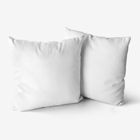 Home Goods Premium Hypoallergenic Throw Pillow thumbnail 1